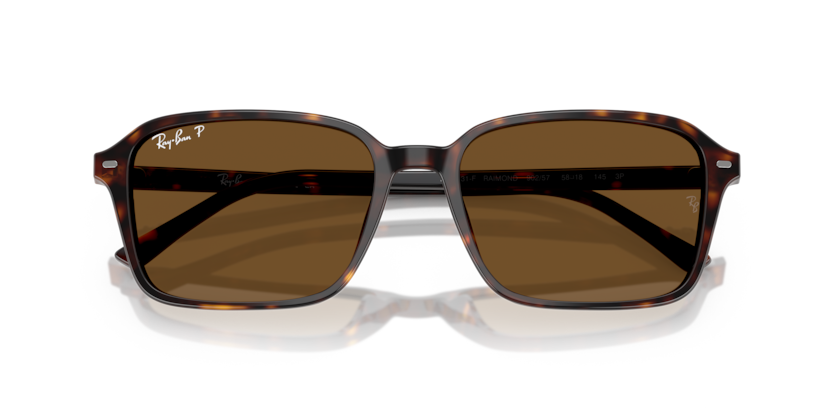Ray-Ban RB2231F Raimond Sunglasses