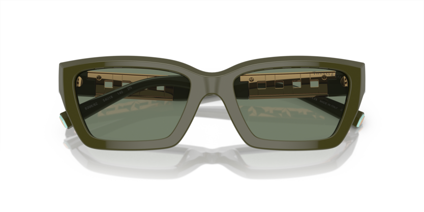 Tiffany TF4213  Sunglasses