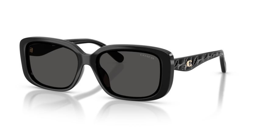 Coach HC8444D Cby86 Sunglasses