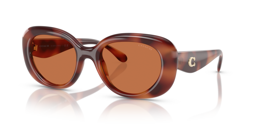 Coach HC8391U Cr609 Sunglasses