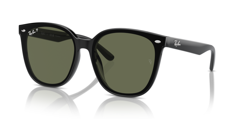 Ray-Ban RB4423D  Sunglasses