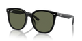 Ray-Ban RB4423D  Sunglasses