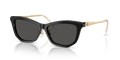 Swarovski SK6057F  Sunglasses