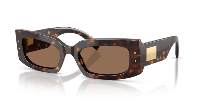 Dolce & Gabbana DG4479  Sunglasses