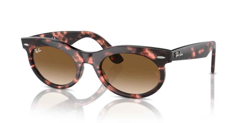 Ray-Ban RB2242 Wayfarer Oval Sunglasses