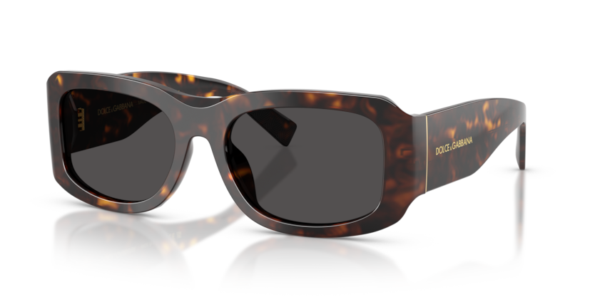 Dolce & Gabbana DG4503  Sunglasses