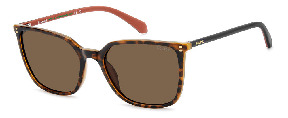 Polaroid PLD 4209/S/X Sunglasses