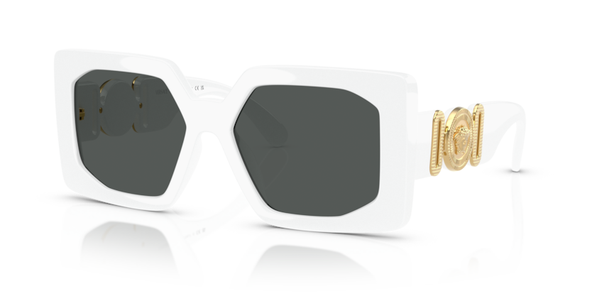 Versace VE4478U  Sunglasses