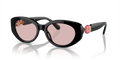 Swarovski SK6002  Sunglasses