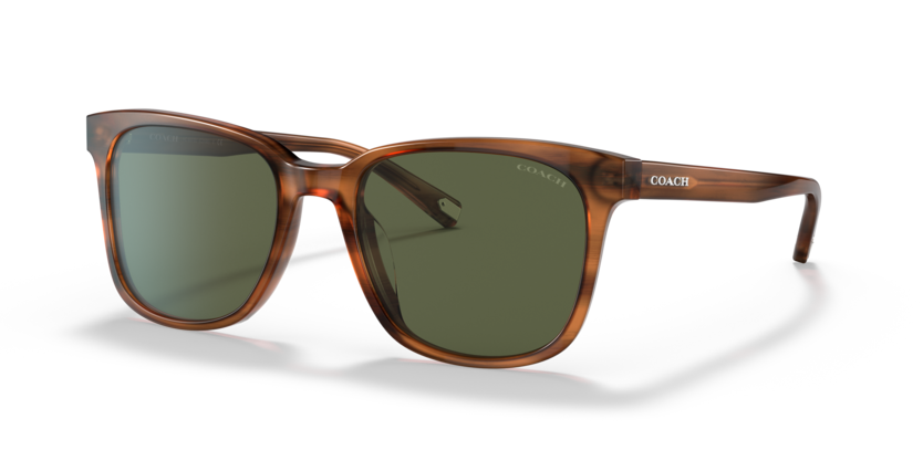 Coach HC8313U C2095 Sunglasses