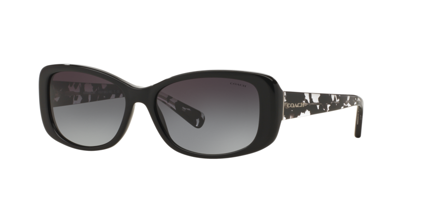 Coach HC8168 L156 Sunglasses