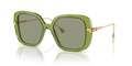 Swarovski SK6011  Sunglasses
