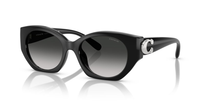 Coach HC8407U Cw194 Sunglasses