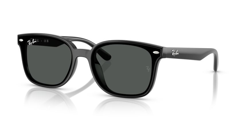 Ray-Ban RB4461D  Sunglasses