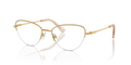 Swarovski SK1010  Eyeglasses