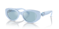 Swarovski SK6002  Sunglasses