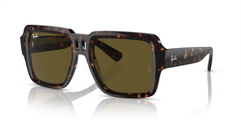 Ray-Ban RB4408 Magellan Sunglasses