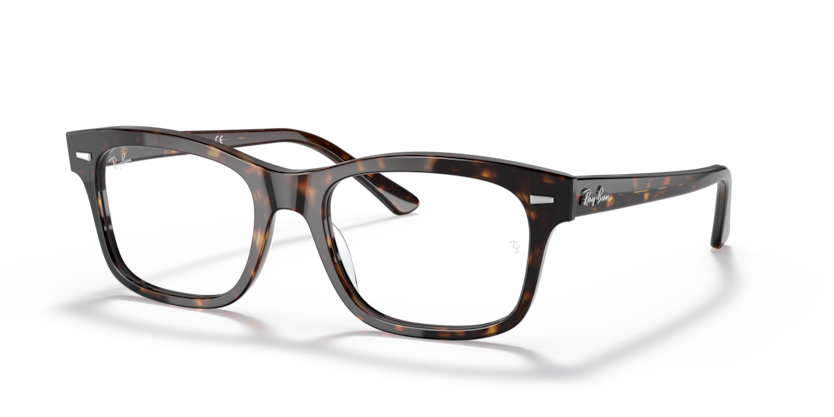Ray-Ban Vista RX5383 Mr Burbank Eyeglasses