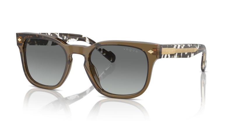 Vogue VO5571S  Sunglasses