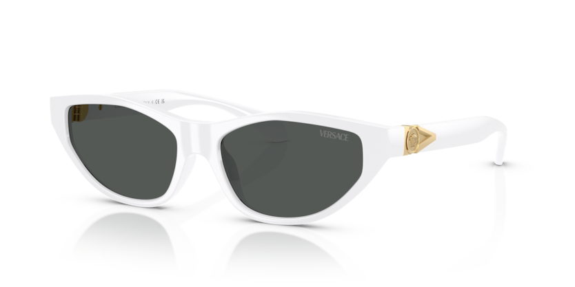 Versace VE4491U  Sunglasses