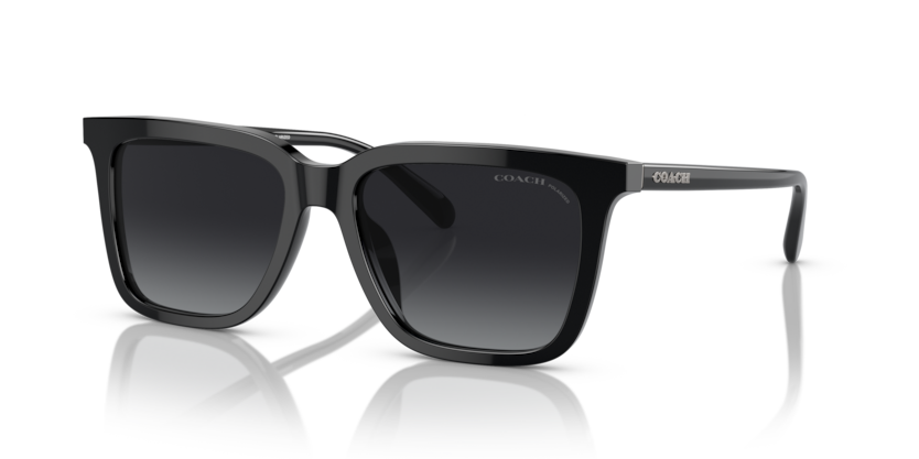Coach HC8385U Cl910 Sunglasses