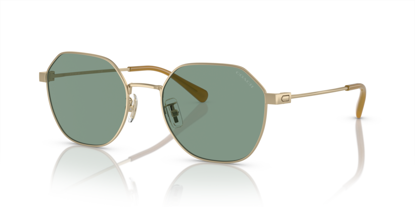 Coach HC7155 Cl915 Sunglasses