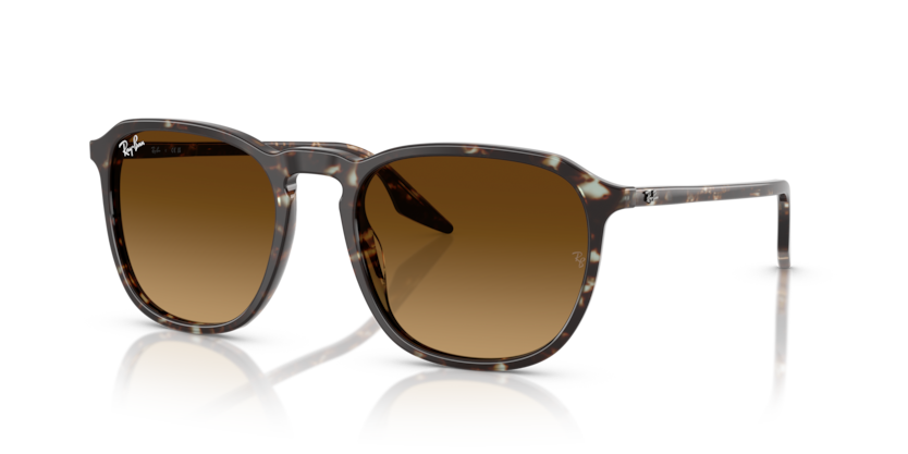 Ray-Ban RB2203  Sunglasses
