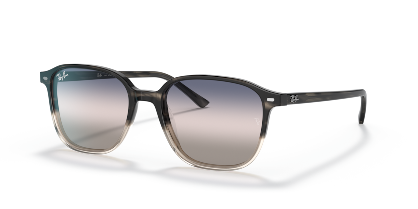 Ray-Ban RB2193 Leonard Sunglasses