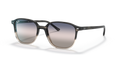 Ray-Ban RB2193 Leonard Sunglasses
