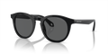 Giorgio Armani AR8192  Sunglasses