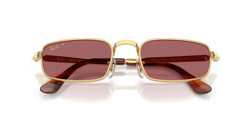 Ray-Ban RB3927  Sunglasses