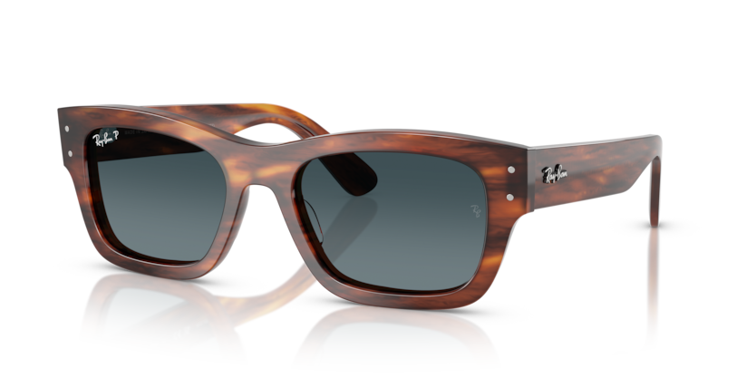 Ray-Ban RB7683S Joseph Sunglasses