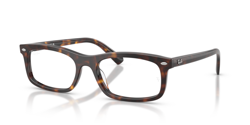 Ray-Ban Vista RX5450F  Eyeglasses