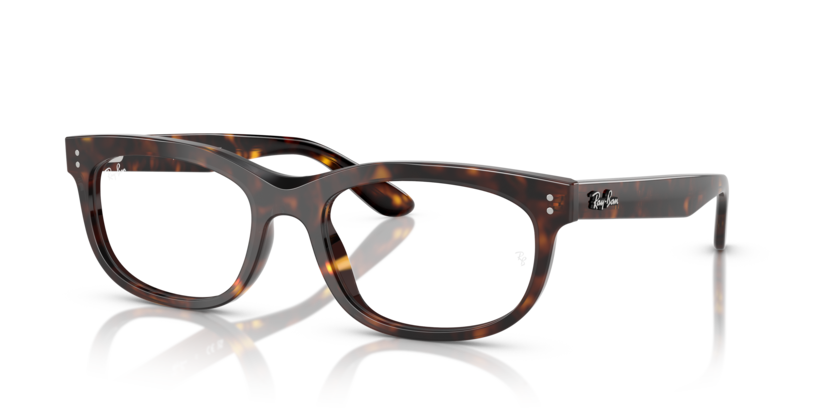 Ray-Ban Vista RX5489F Balorette Eyeglasses