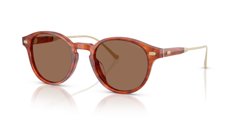 Coach HC8428U Cad83 Sunglasses
