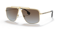 Versace VE2242  Sunglasses
