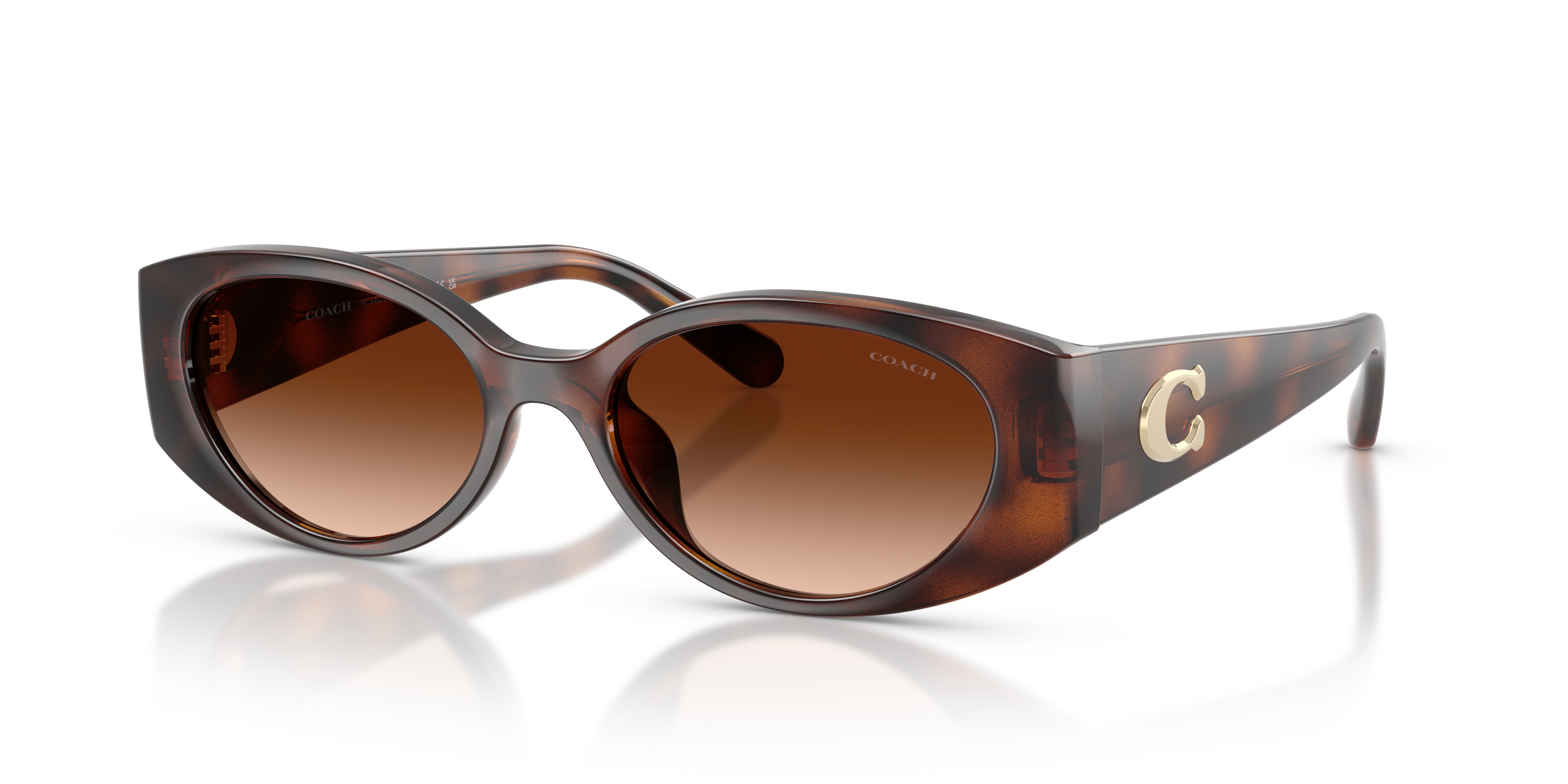 Coach HC8462U Cfu06 Sunglasses