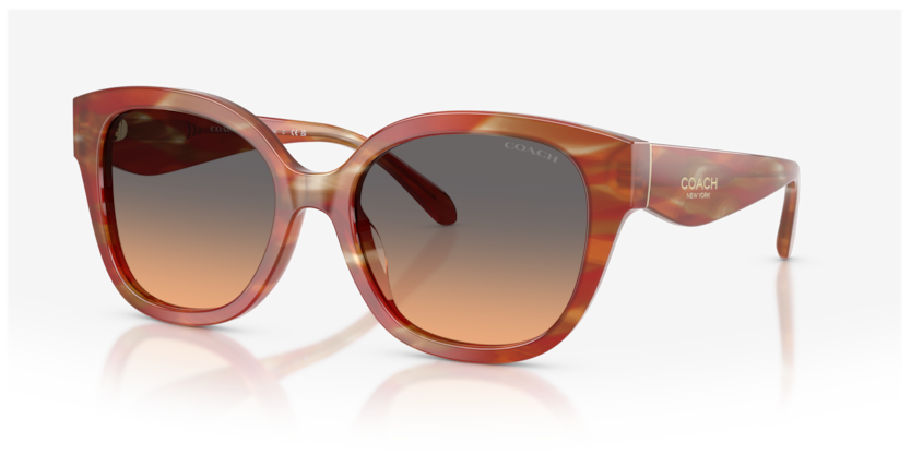 Coach HC8438U Cby94 Sunglasses