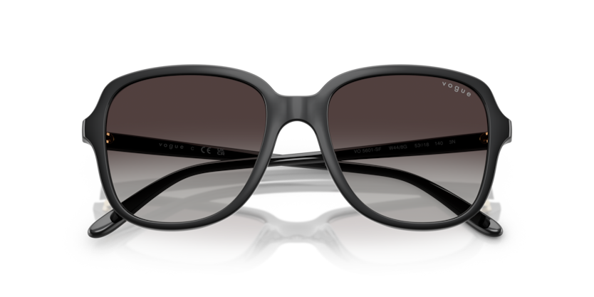 Ray-Ban RB2213  Sunglasses