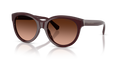 Tiffany TF4271  Sunglasses