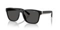 Polo PH4229U  Sunglasses