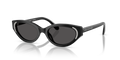 Swarovski SK6030F  Sunglasses