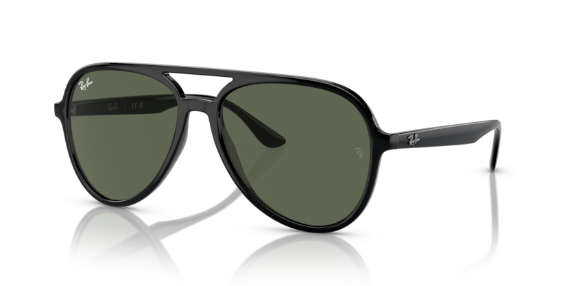 Ray-Ban RB4376  Sunglasses