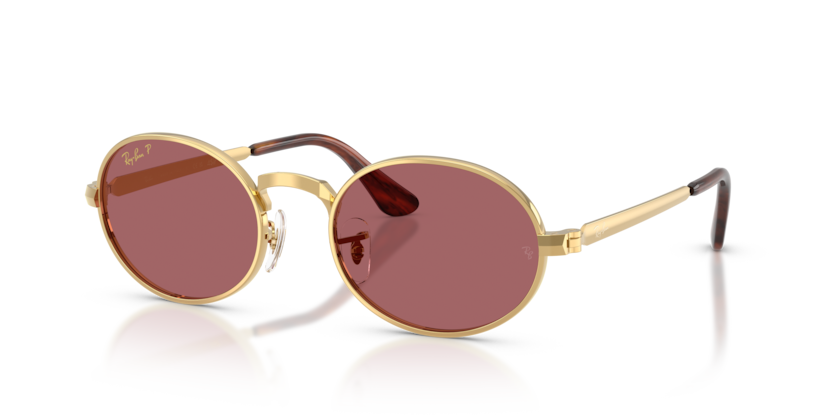Ray-Ban RB3931  Sunglasses