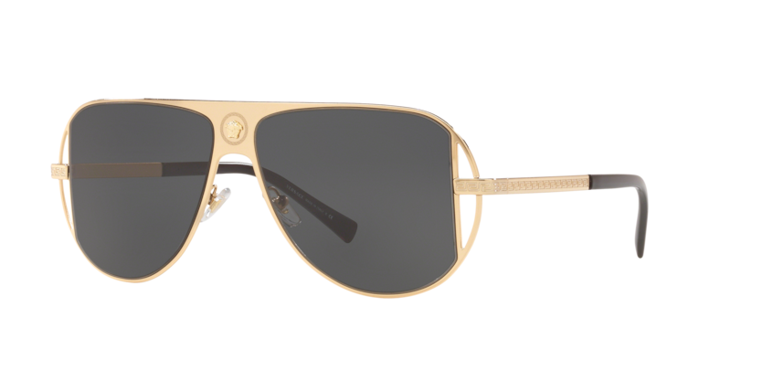Versace VE2212  Sunglasses