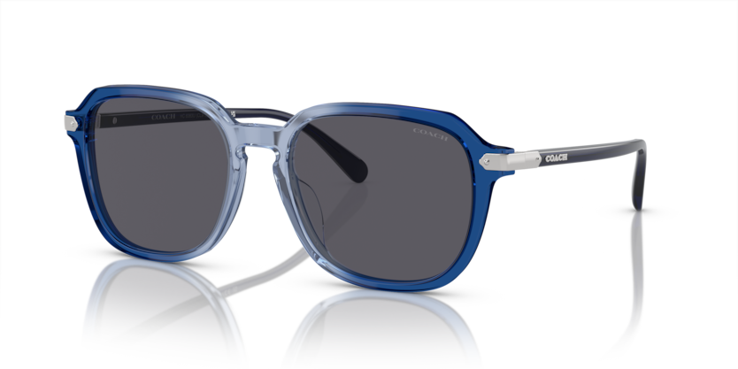 Coach HC8383U Cl912 Sunglasses