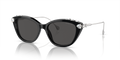 Swarovski SK6010  Sunglasses