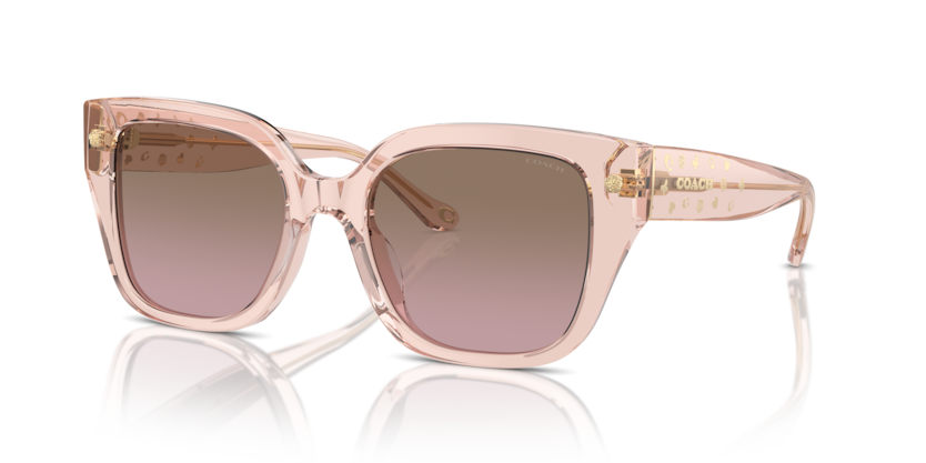 Coach HC8392U Cr611 Sunglasses