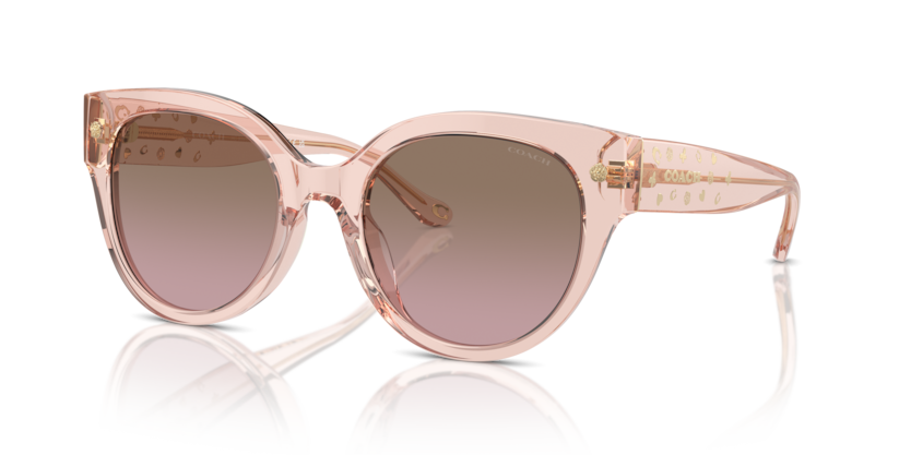 Coach HC8393U Cr612 Sunglasses