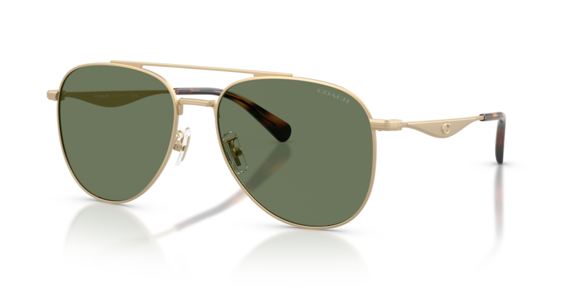 Coach HC7190 Cdp40 Sunglasses